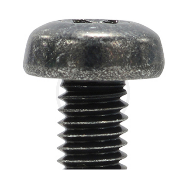 Pan Head Screw - Torx Screw - Steel (Trivalent Chromate Black)
